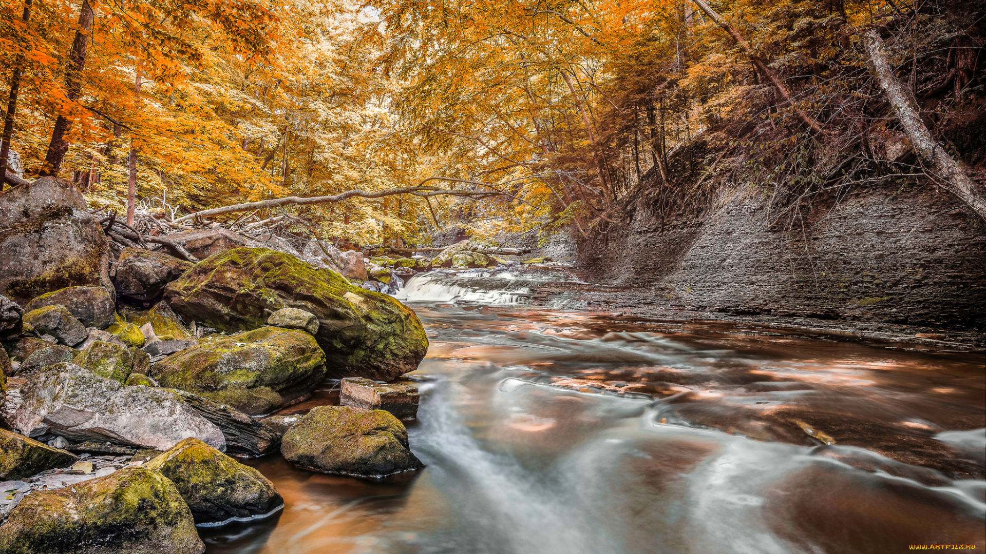 природа, реки, озера, простор