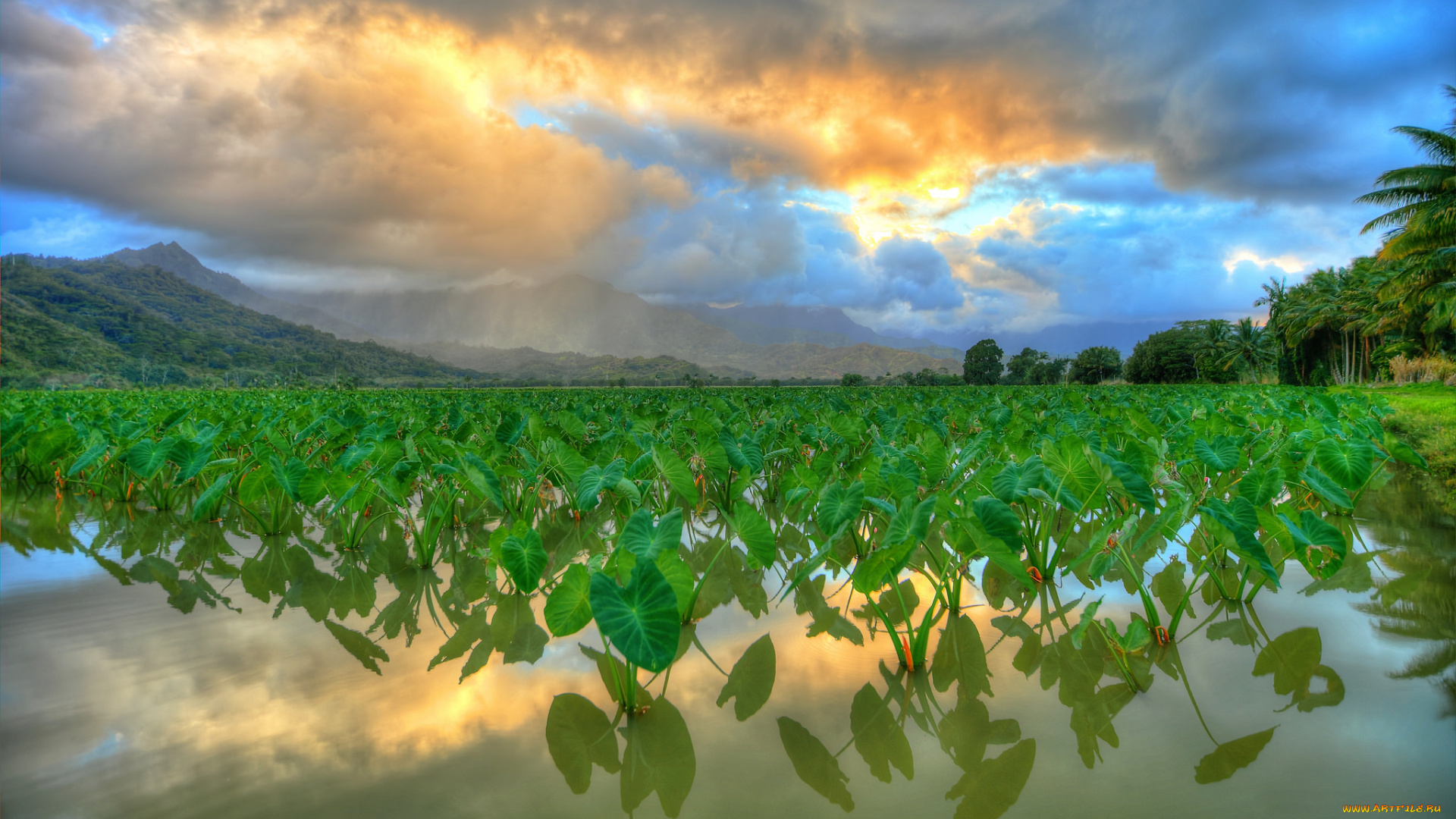 природа, реки, озера, простор