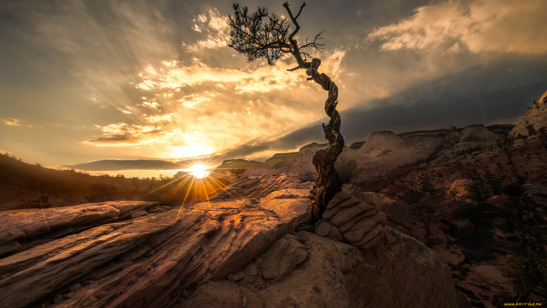 природа, восходы, закаты, простор