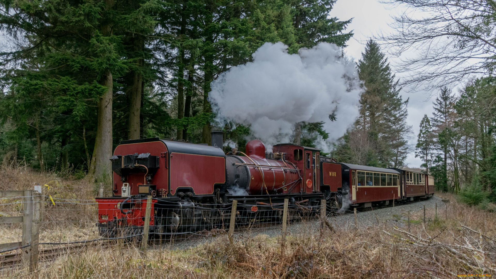 техника, паровозы, состав, локомотив
