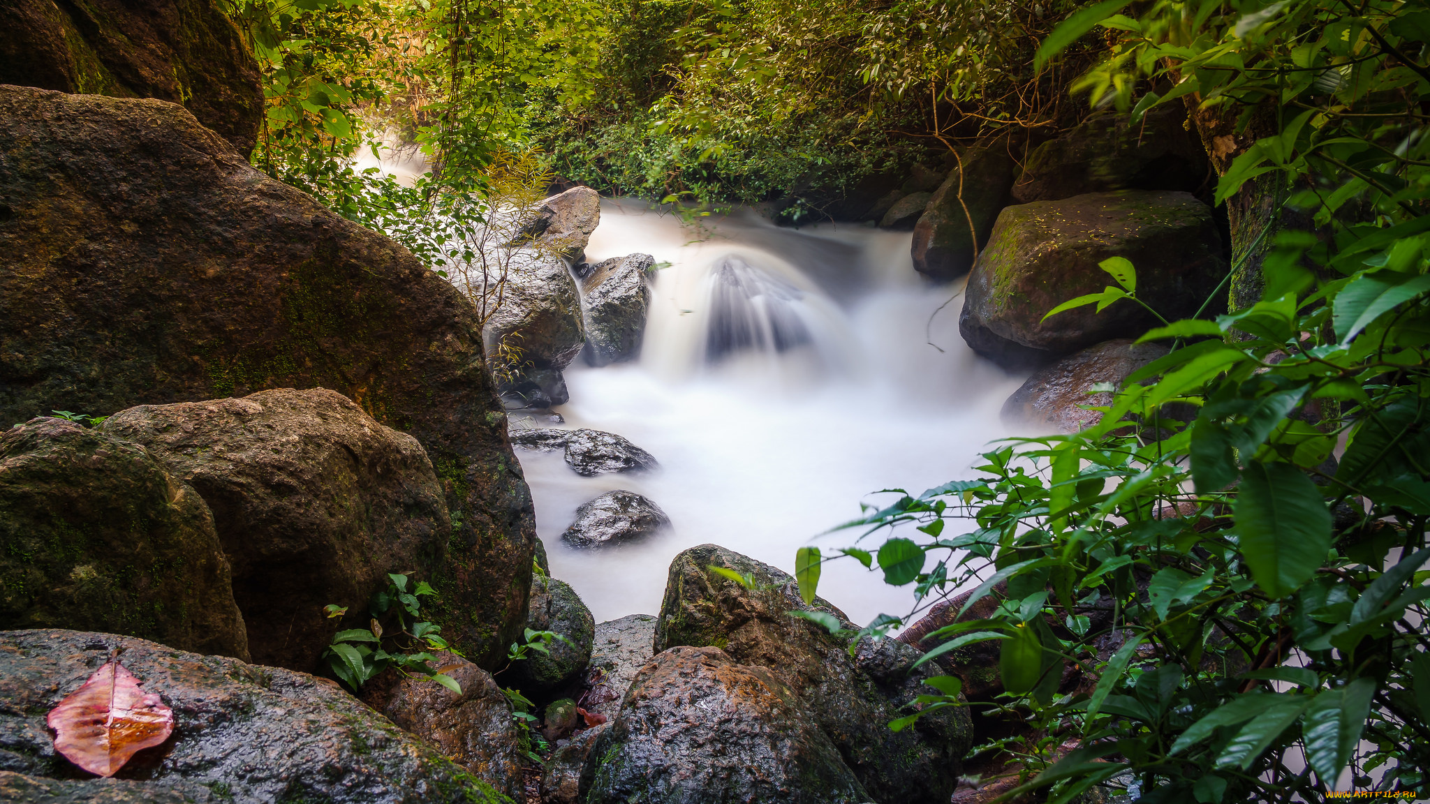 природа, реки, озера, простор