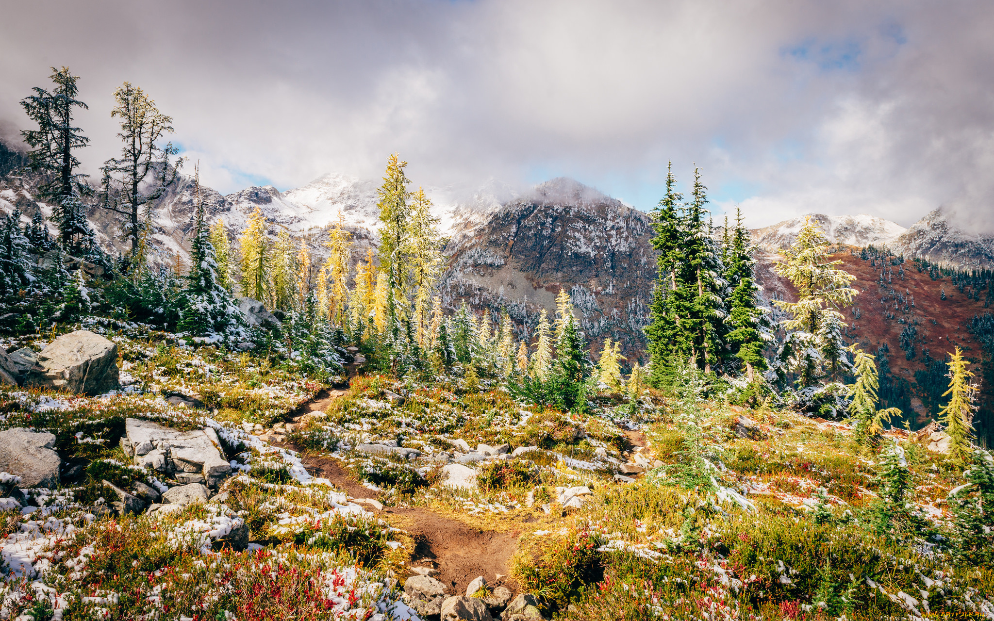 природа, горы, простор