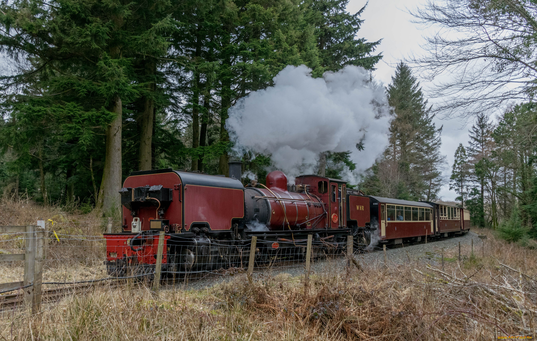 техника, паровозы, состав, локомотив