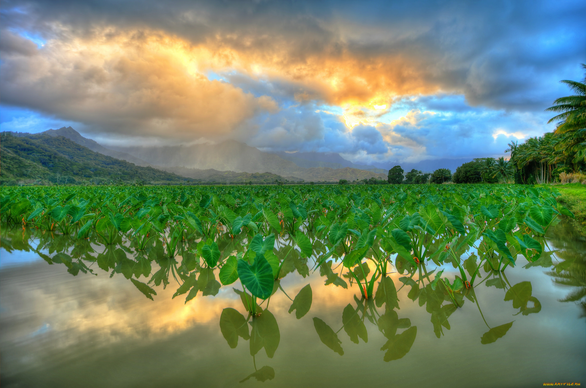 природа, реки, озера, простор