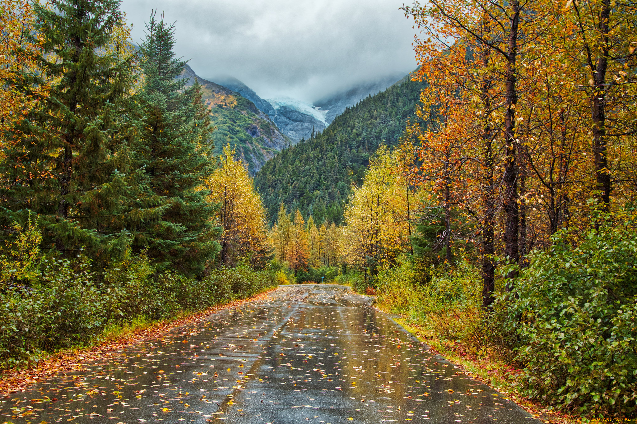 природа, дороги, простор