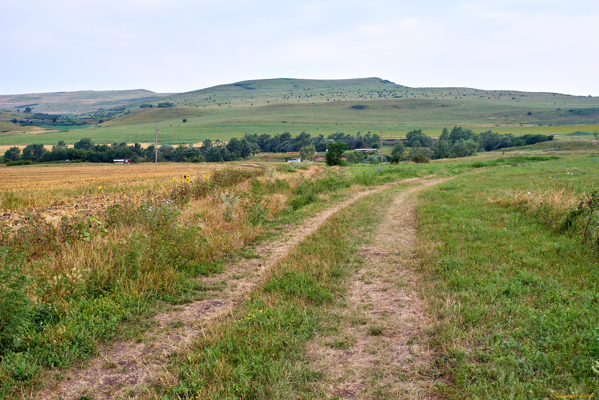 природа, дороги, простор