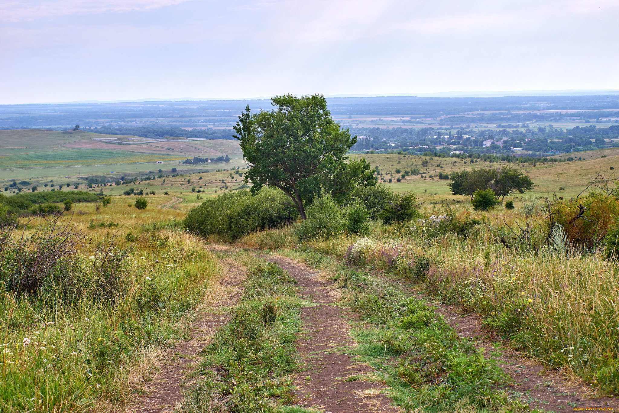 природа, дороги, простор