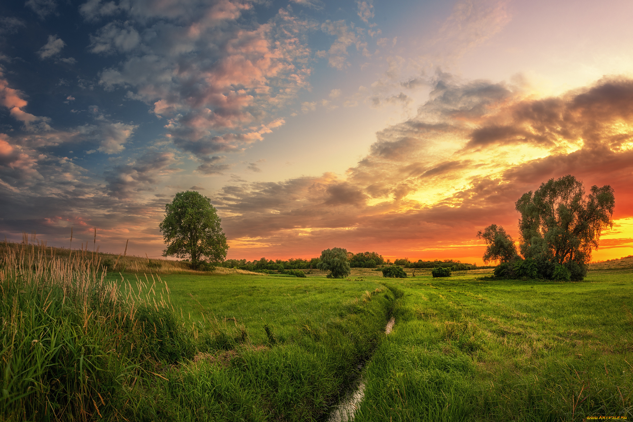 природа, пейзажи, простор