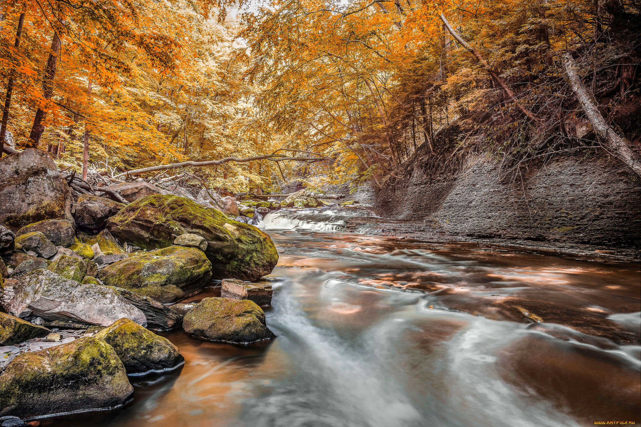 природа, реки, озера, простор