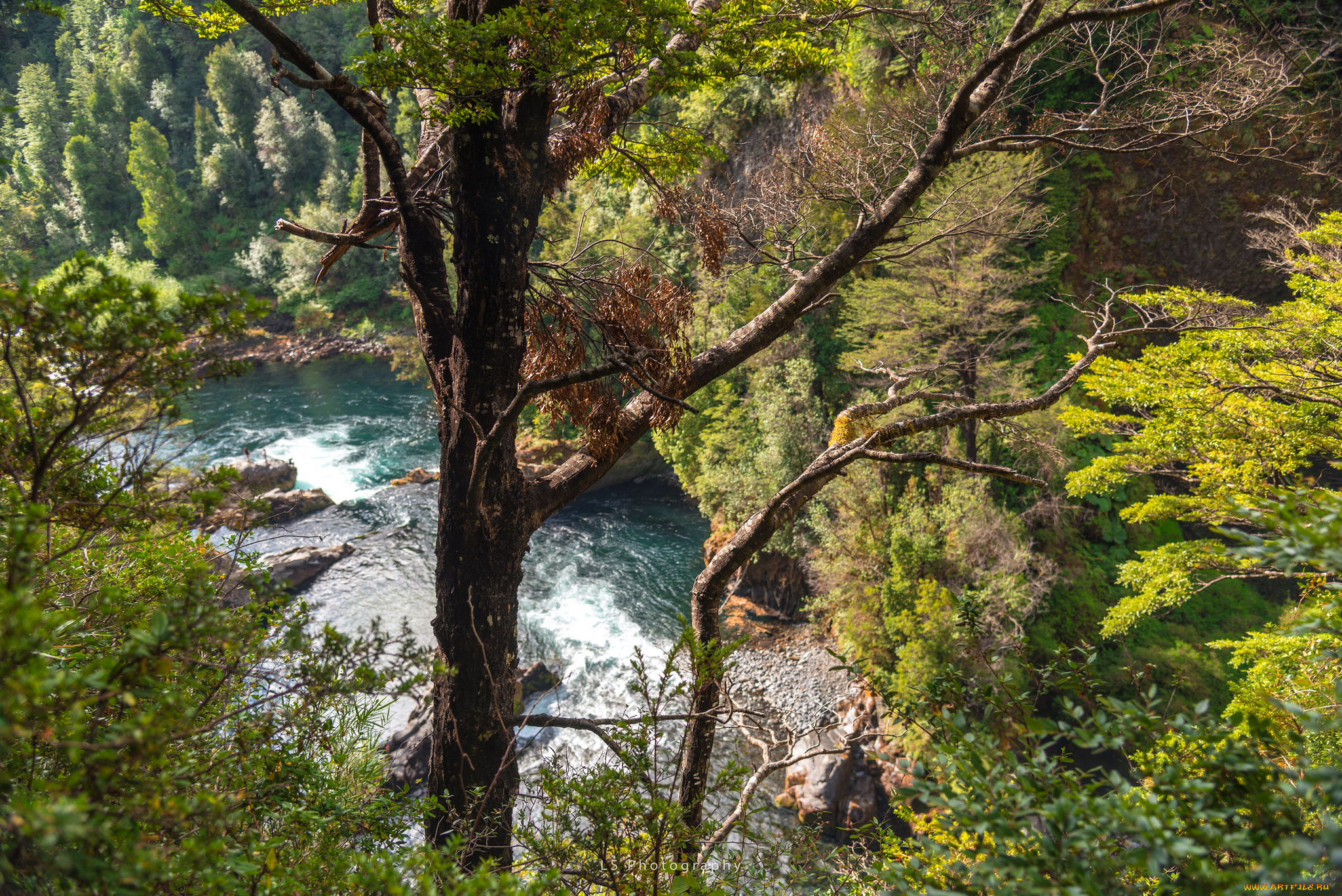 природа, реки, озера, простор