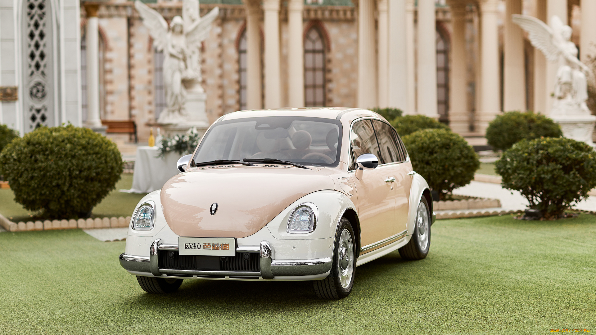 автомобили, ora