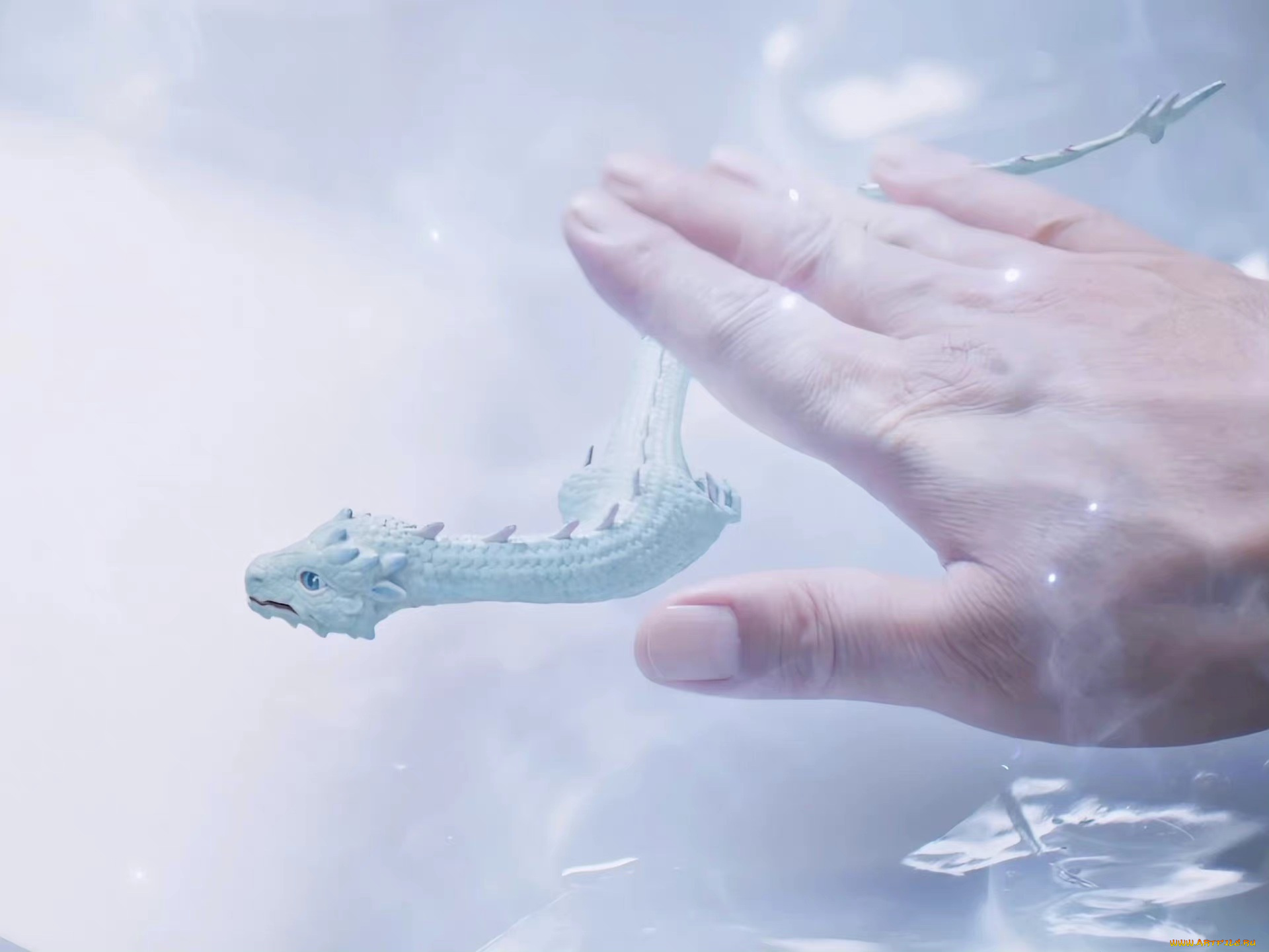 кино, фильмы, immortal, samsara, вечная, самсара, щепки, агарового, дерева