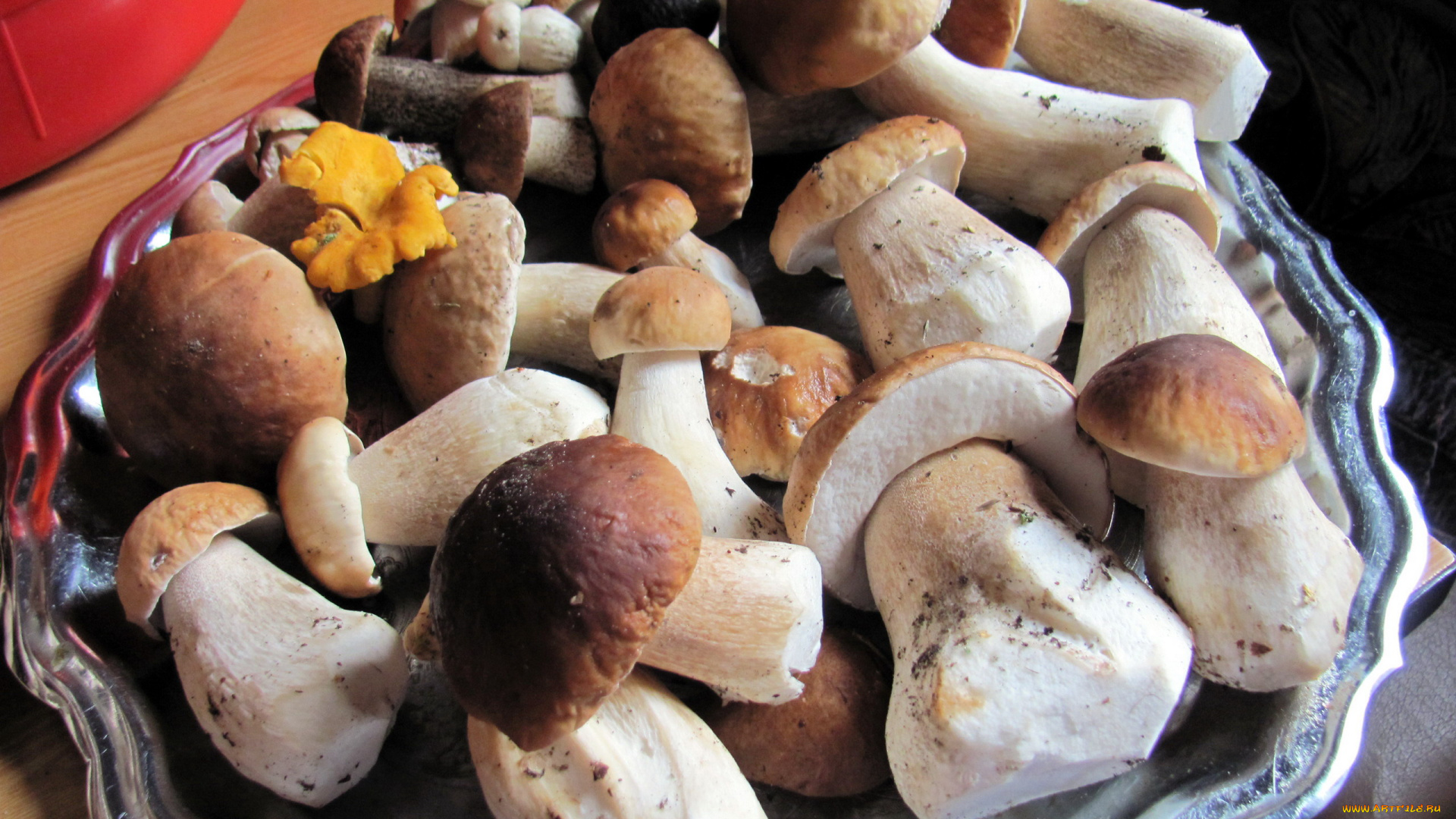 еда, грибы, , грибные, блюда, лесные, боровики