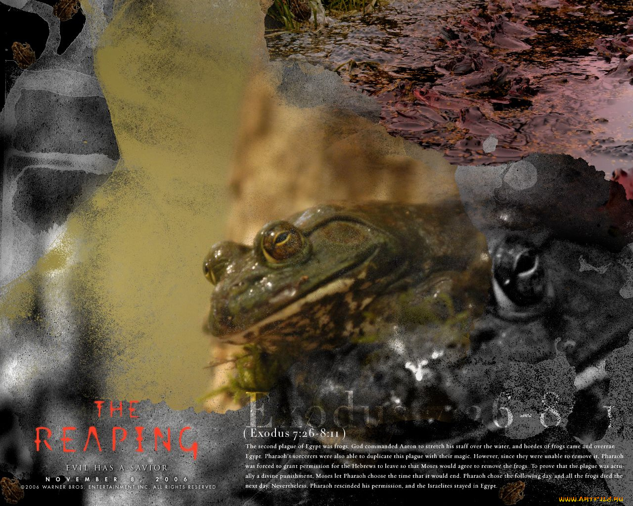 the, reaping, кино, фильмы