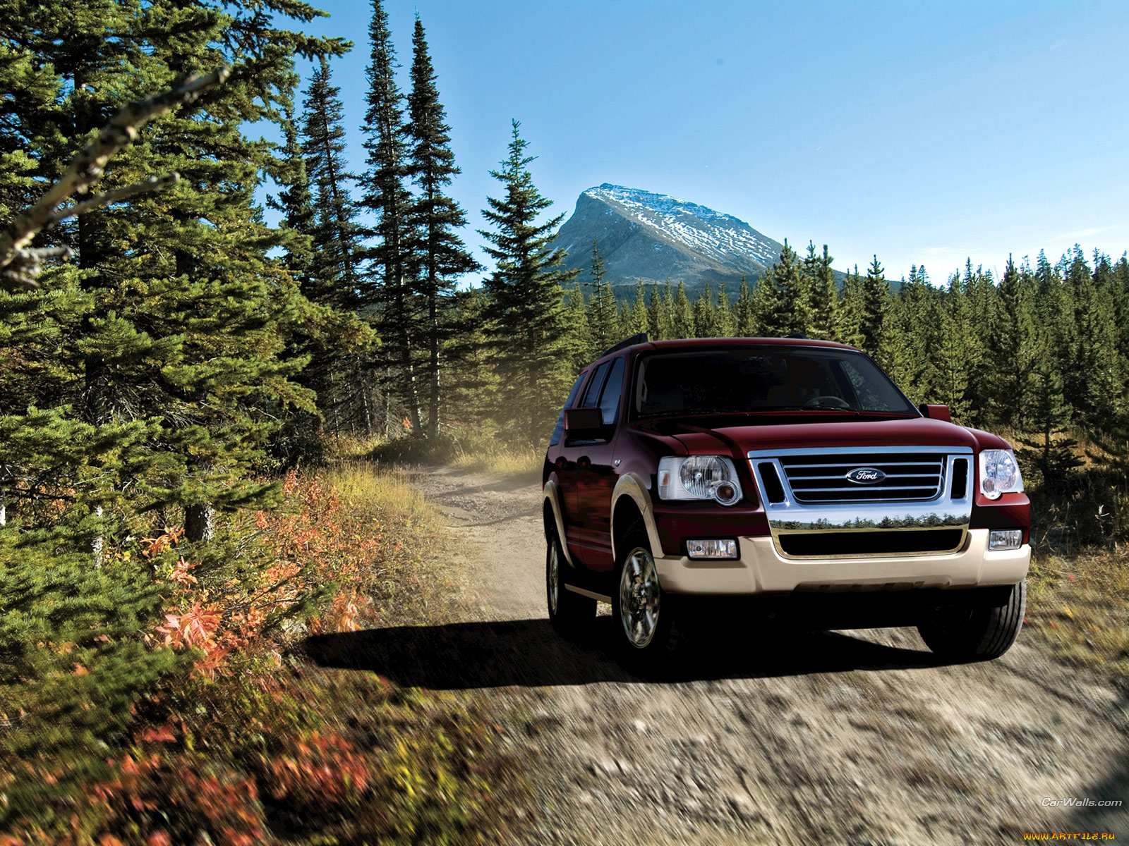 автомобили, ford