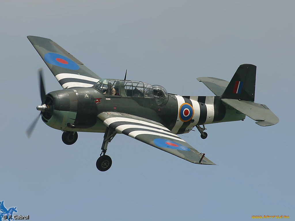 авиация, лёгкие, одномоторные, самолёты