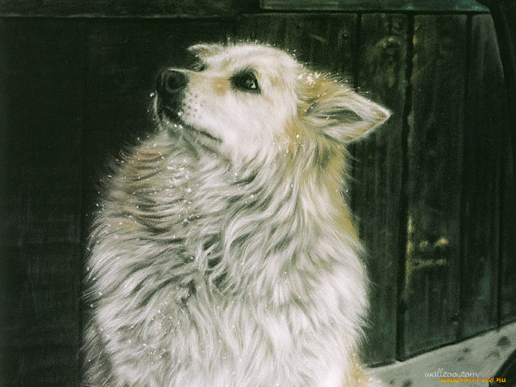 рисованные, животные