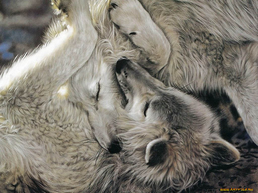 рисованные, животные