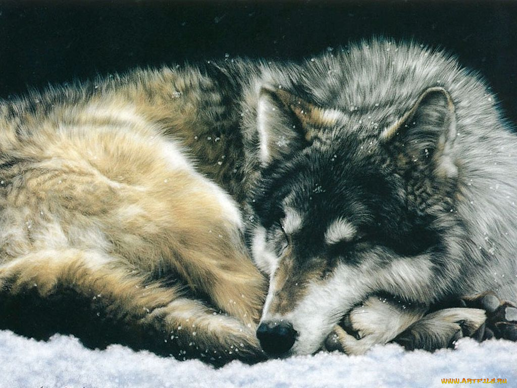 рисованные, животные