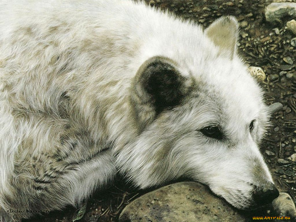 рисованные, животные