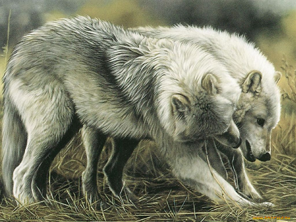 рисованные, животные