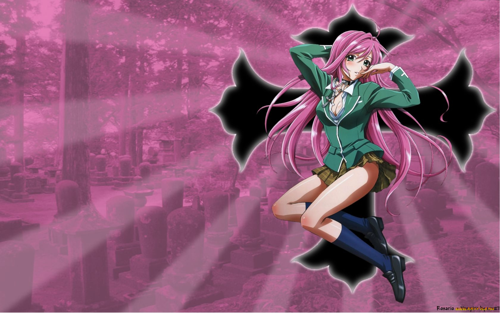 аниме, rosario, vampire