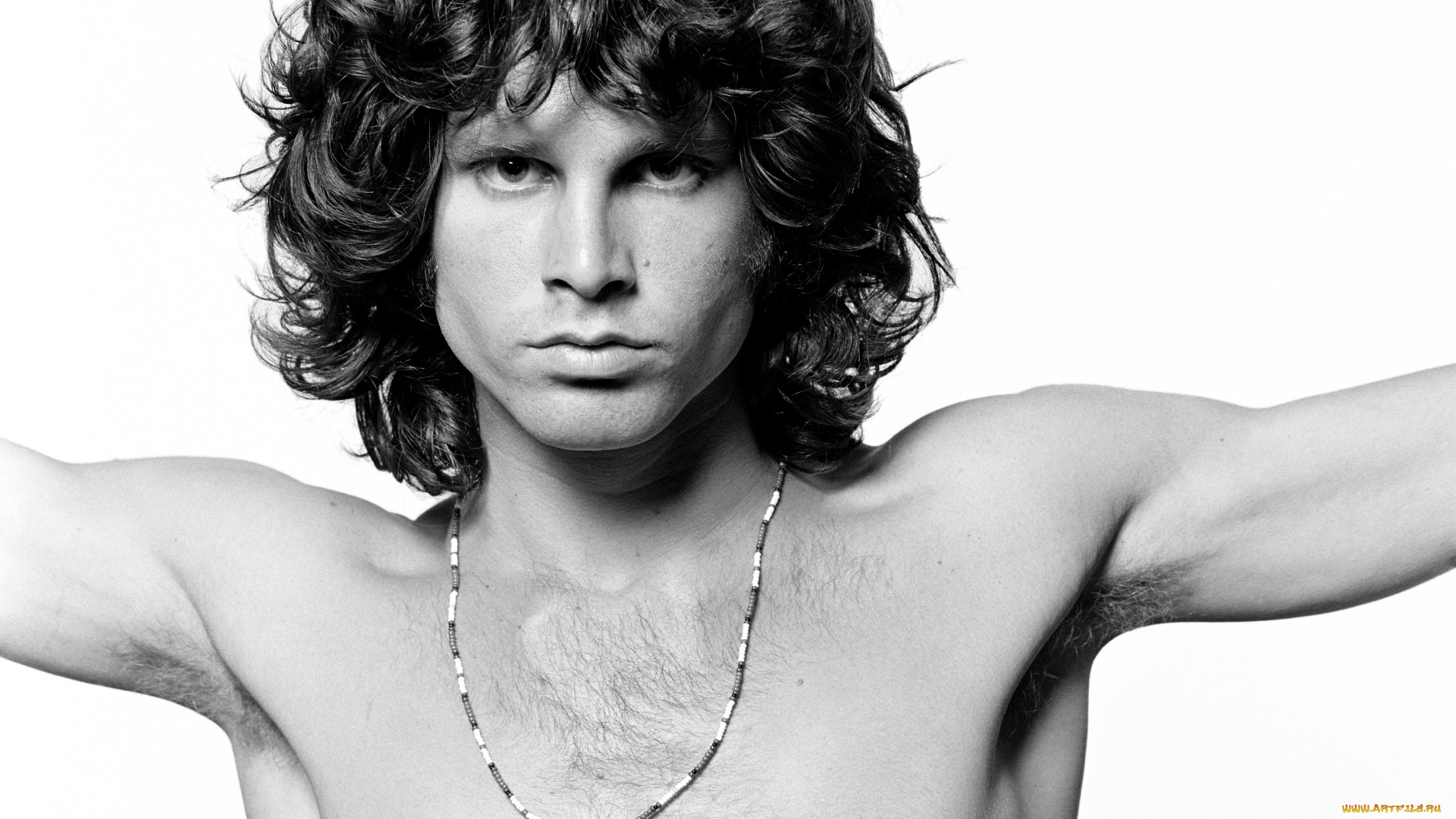 jim, morrison, музыка, the, doors, певец, джим, моррисон