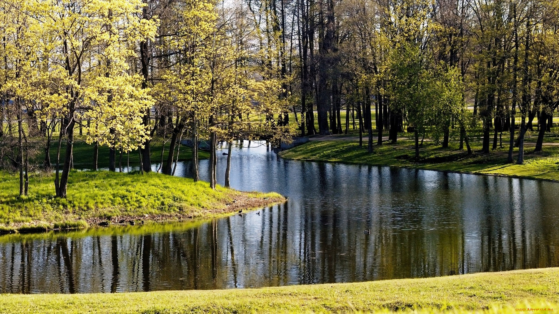 природа, парк, мостик, деревья, речка