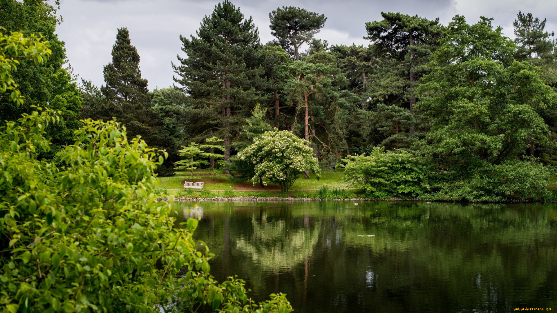 природа, парк, скамейка, деревья, река