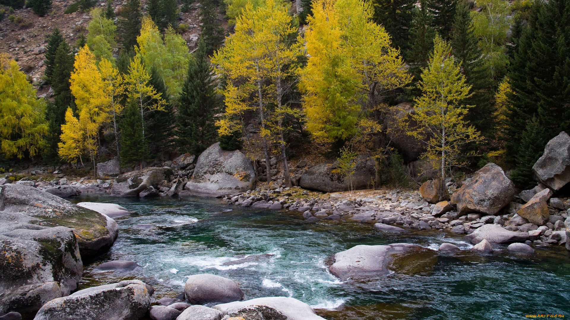 природа, реки, озера, лес, река, осень, камни