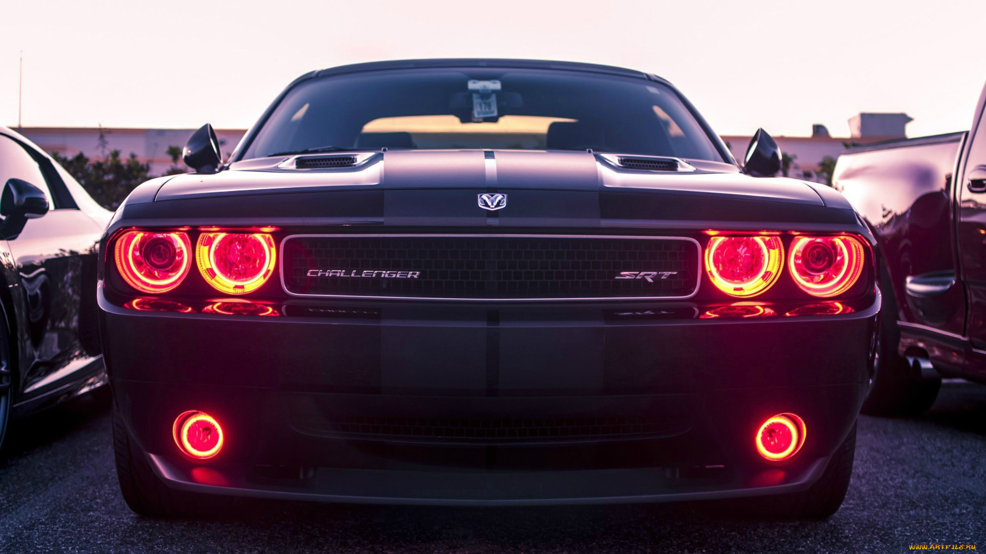 автомобили, выставки, уличные, фото, dodge, challenger, srt8