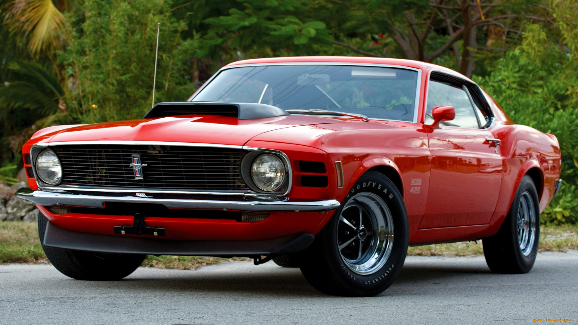 mustang, gt, автомобили, ford, motor, company, культовый, автомобиль, сша