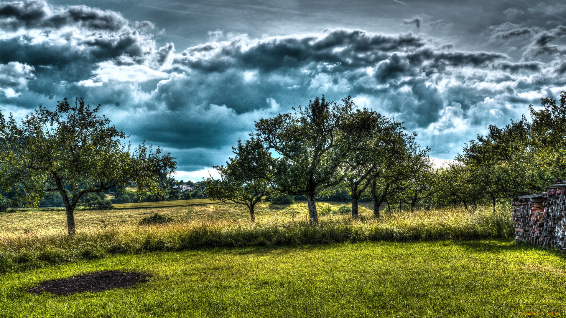 природа, деревья, облака, поленница, лес, холмы, трава, поле