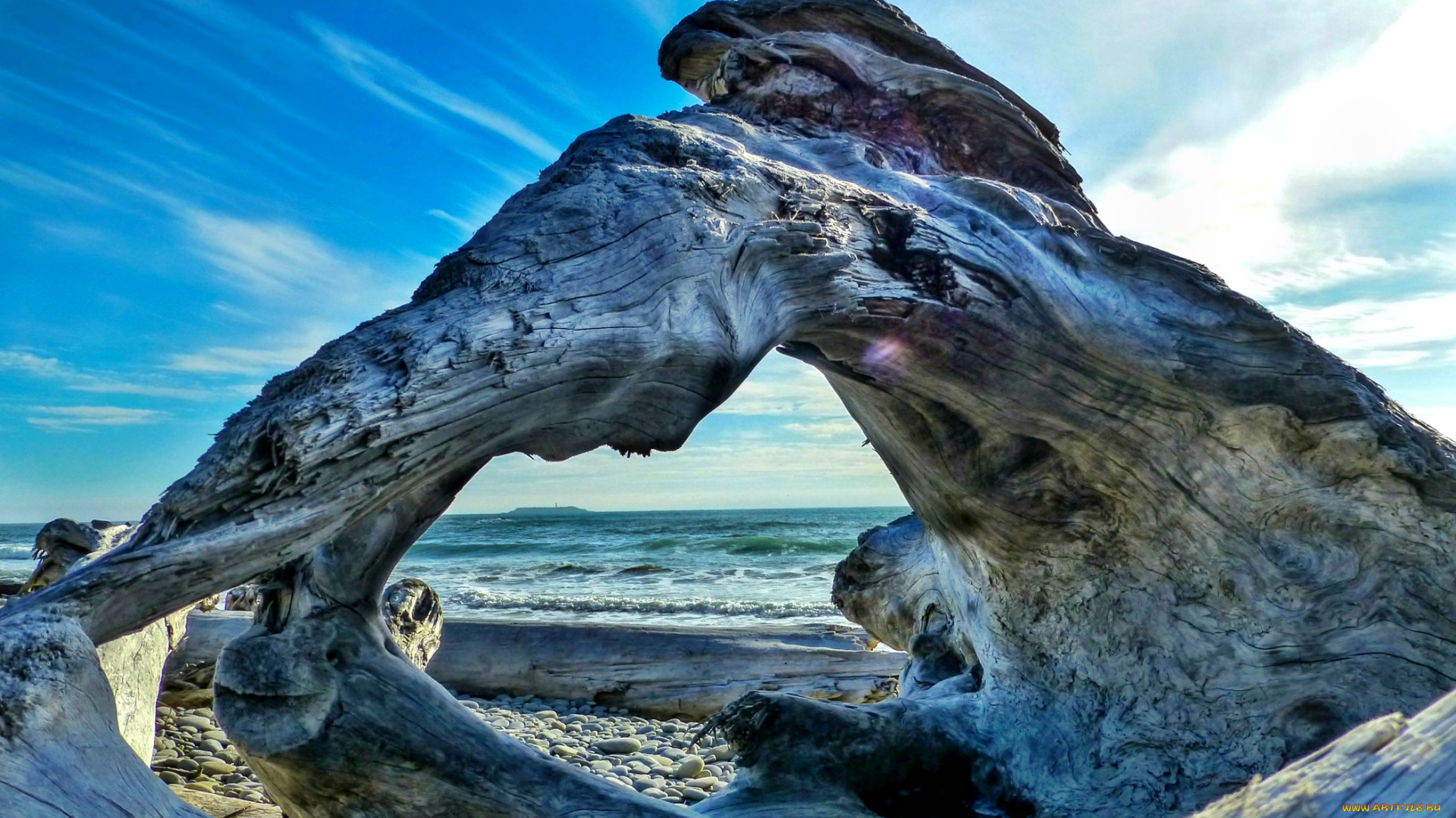 природа, побережье, пляж, волны, море, свет, коряги, галька