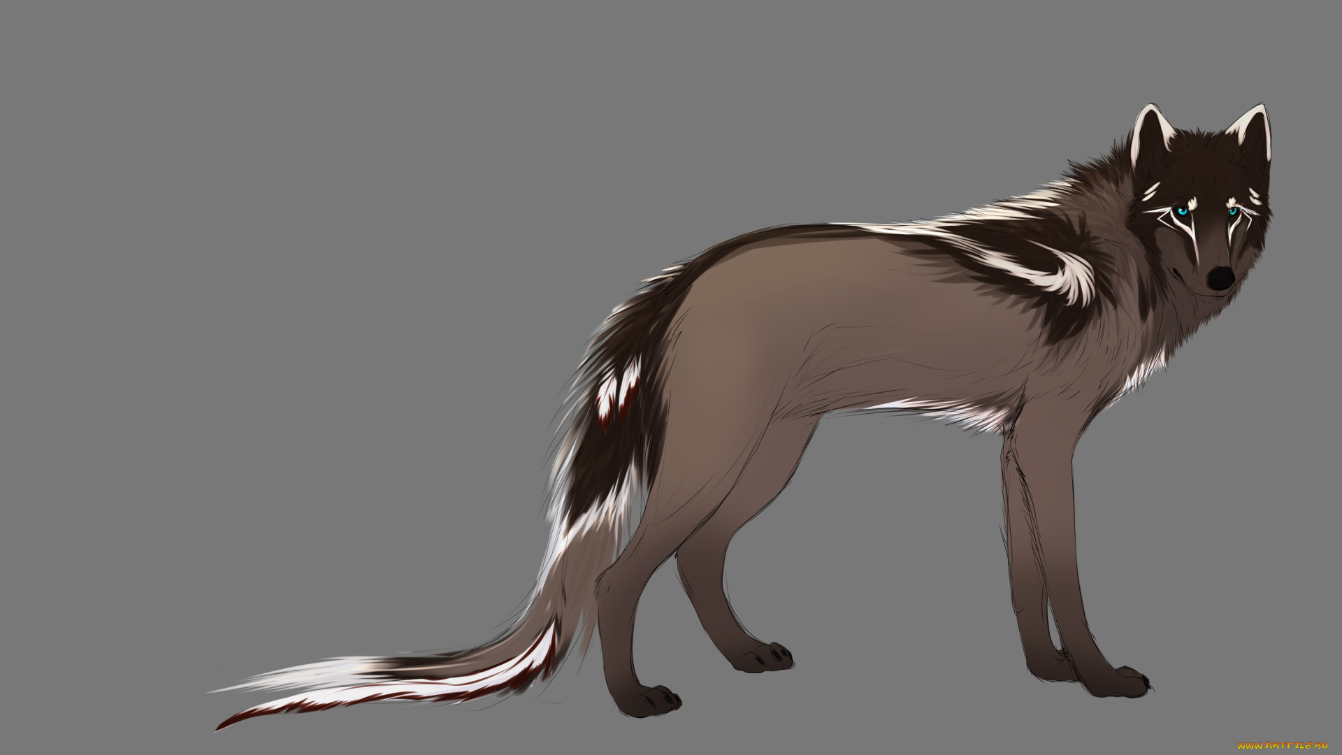 рисованные, животные, волки, волк