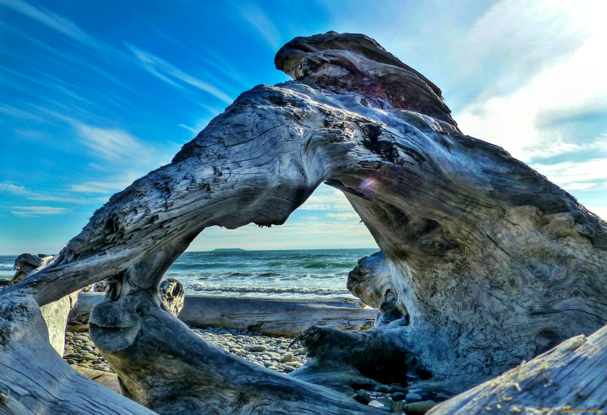 природа, побережье, пляж, волны, море, свет, коряги, галька