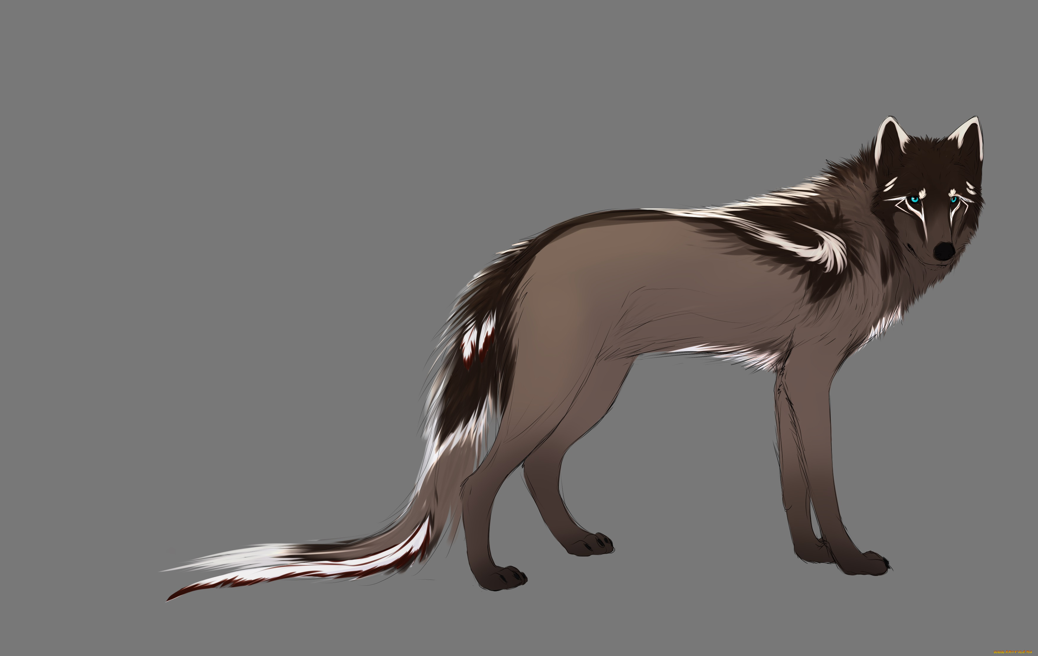 рисованные, животные, волки, волк