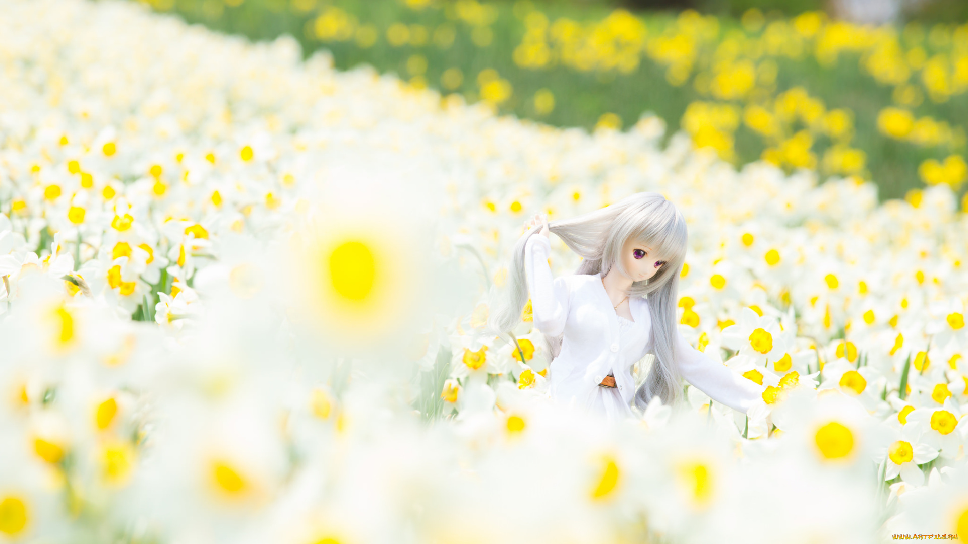 разное, игрушки, кукла, нарциссы, цветы