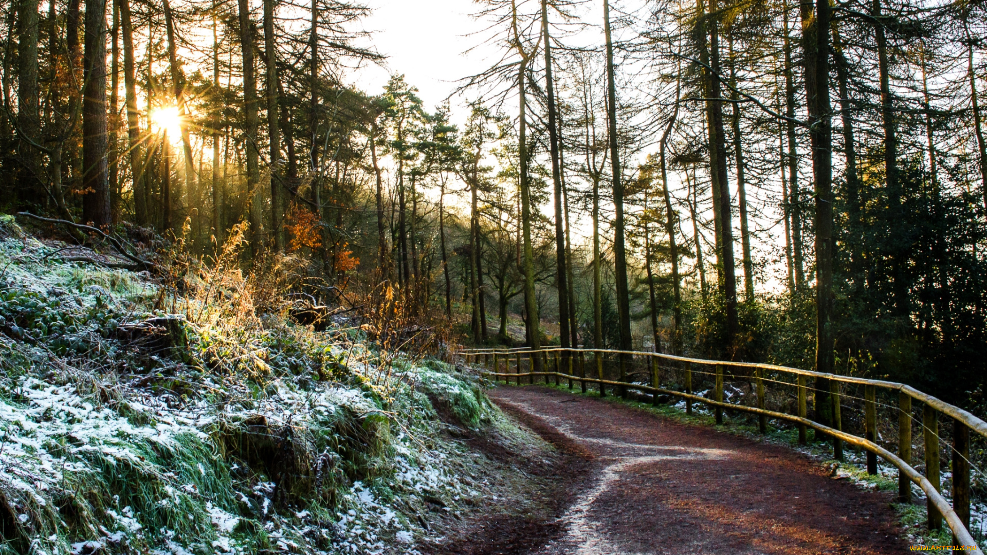 природа, дороги, тракт