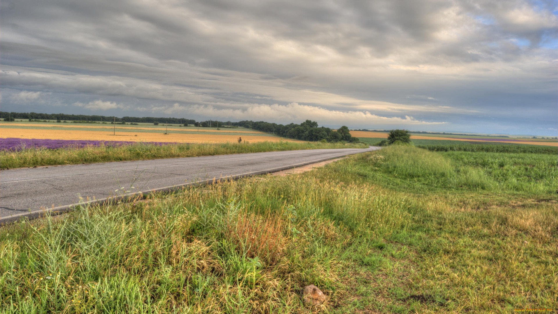 природа, дороги, тракт