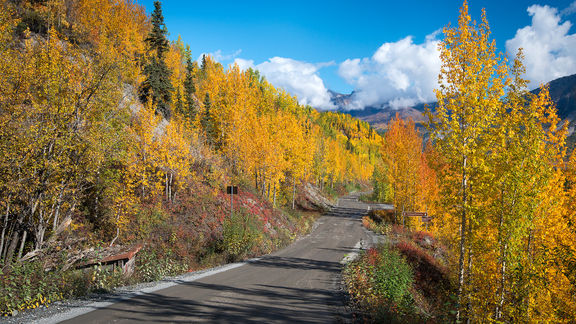 природа, дороги, тракт