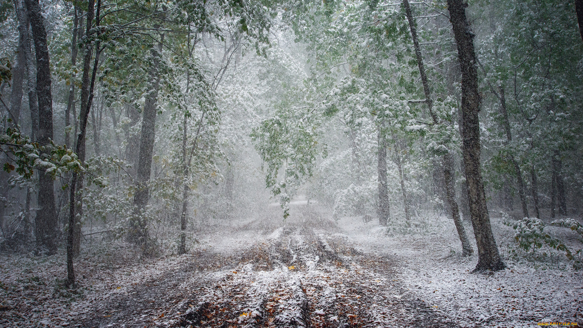 природа, дороги, тракт
