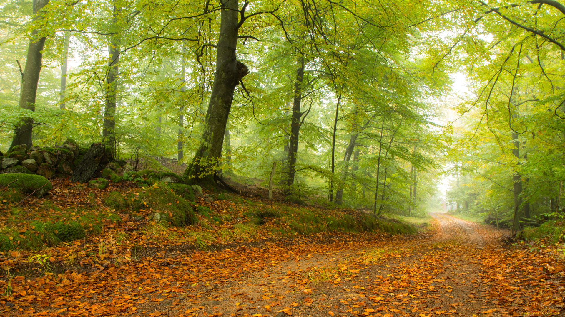 природа, дороги, тракт