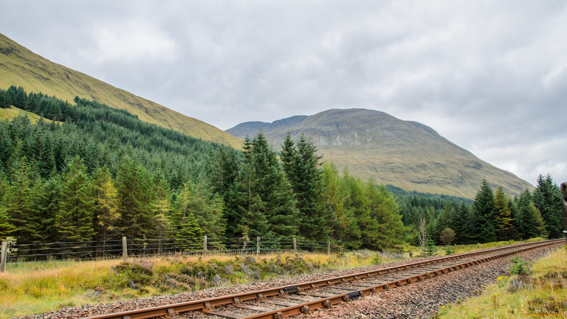 природа, дороги, тракт