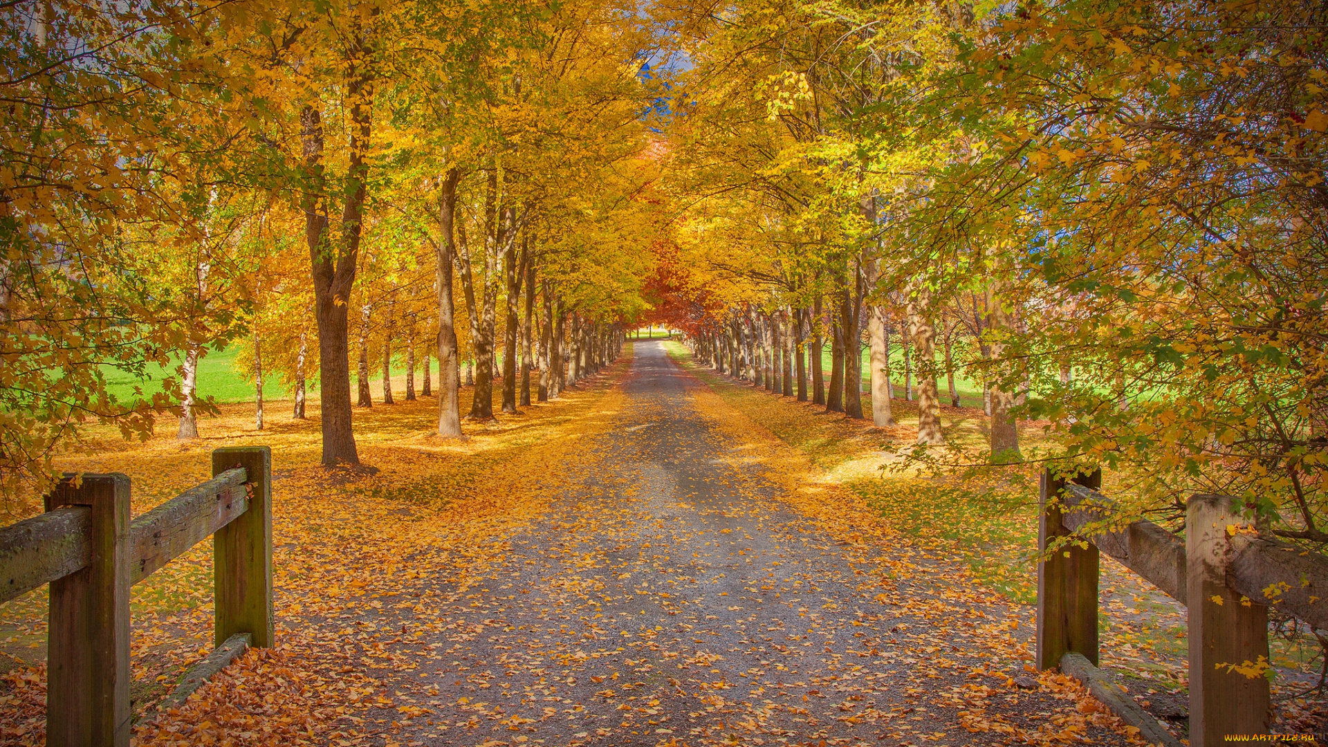 природа, дороги, тракт