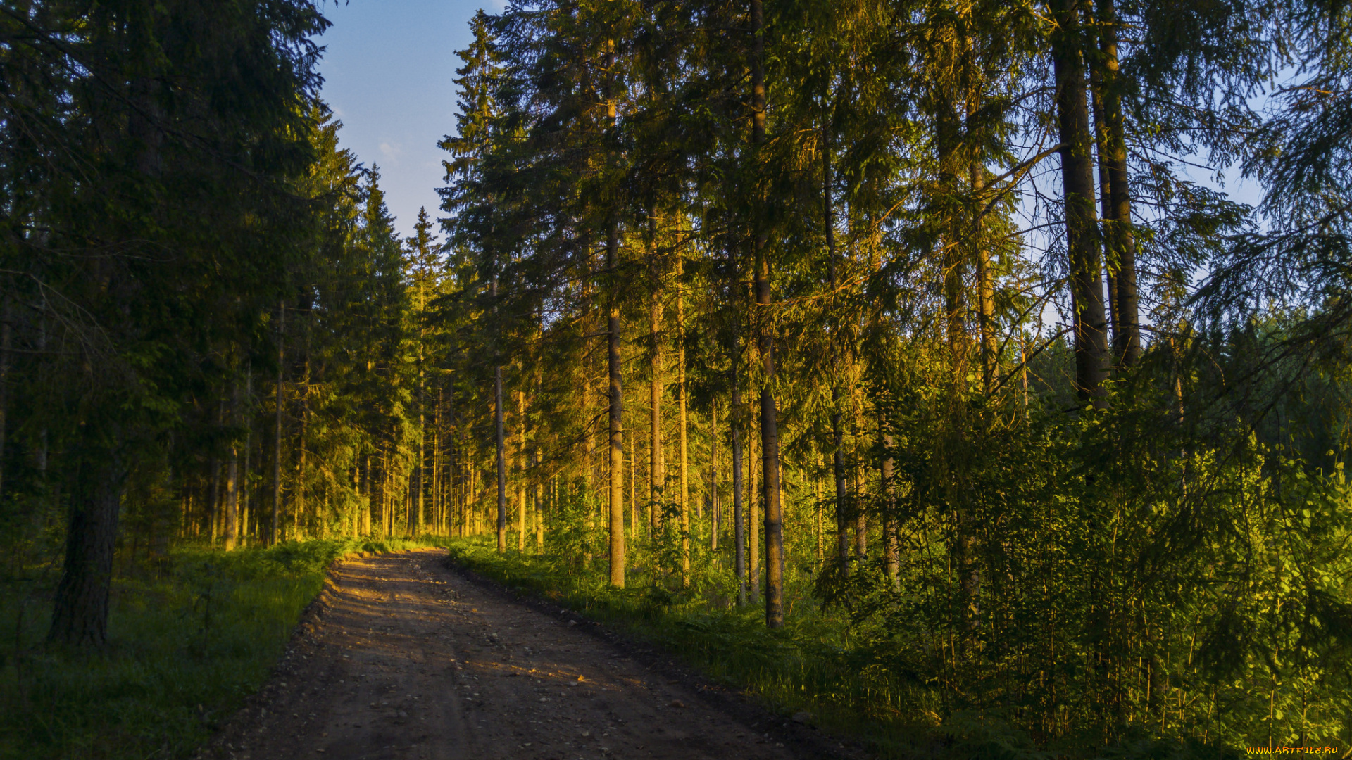 природа, дороги, тракт