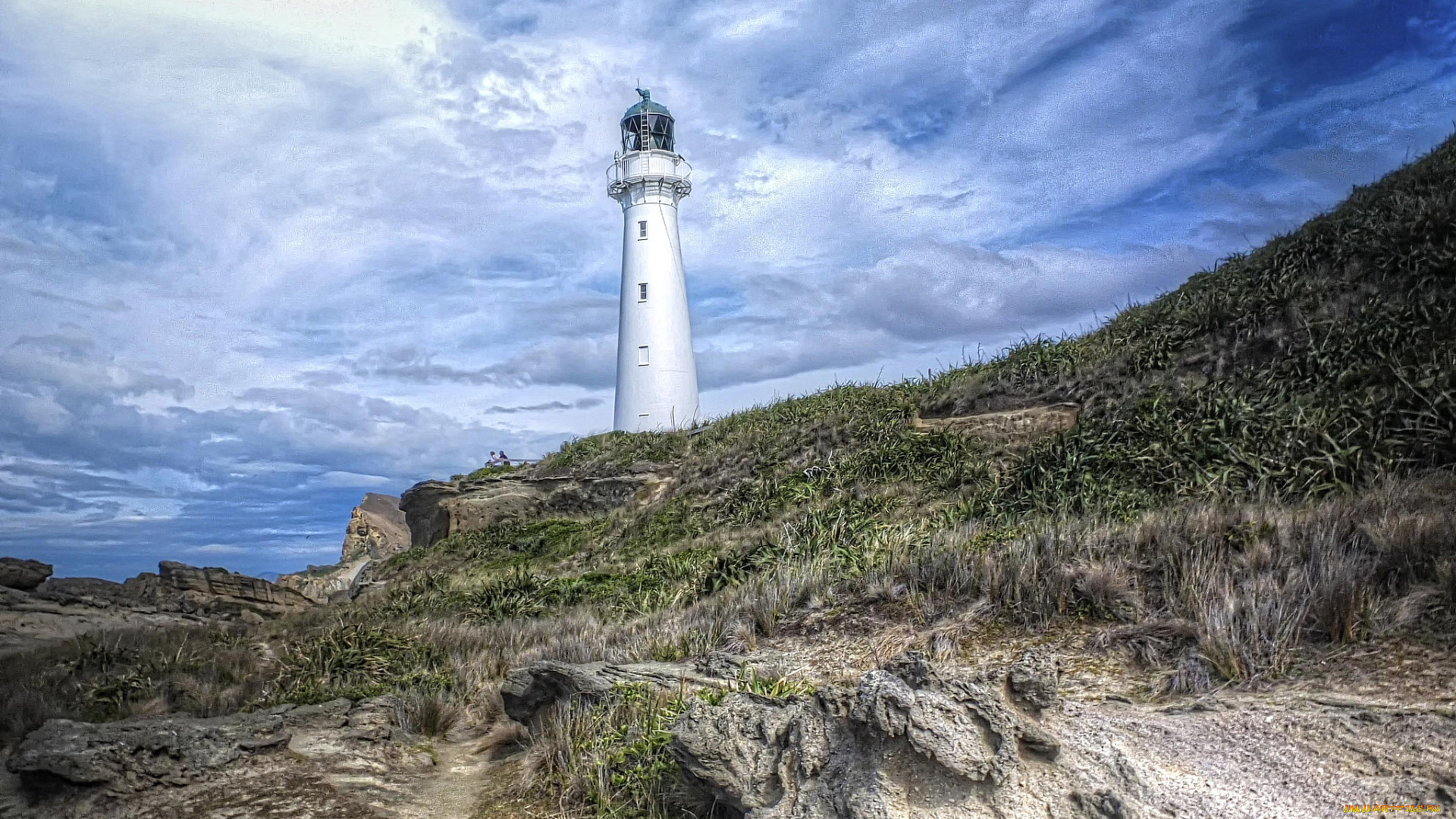 природа, маяки, маяк, побережье