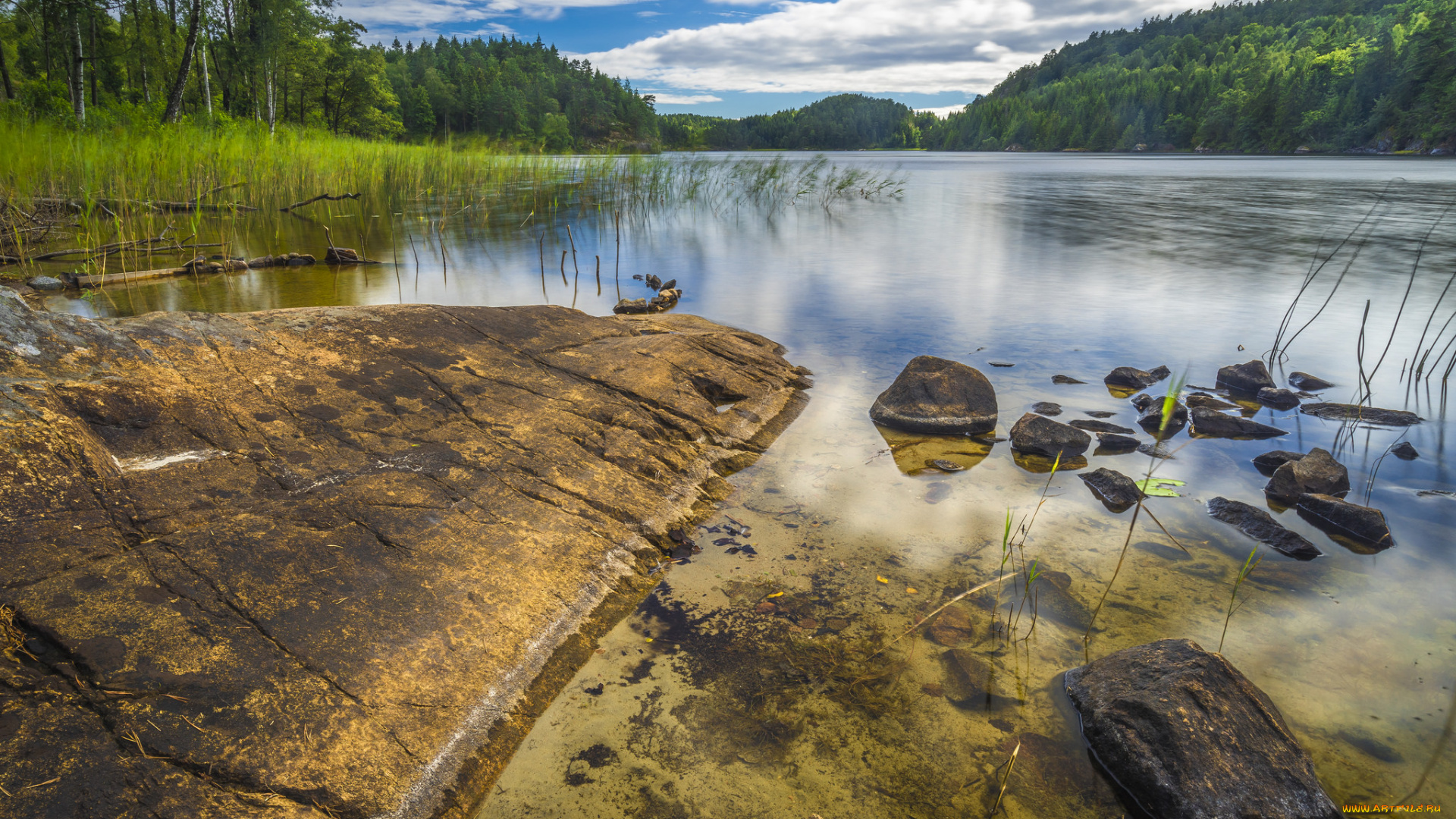 природа, реки, озера, лес, река