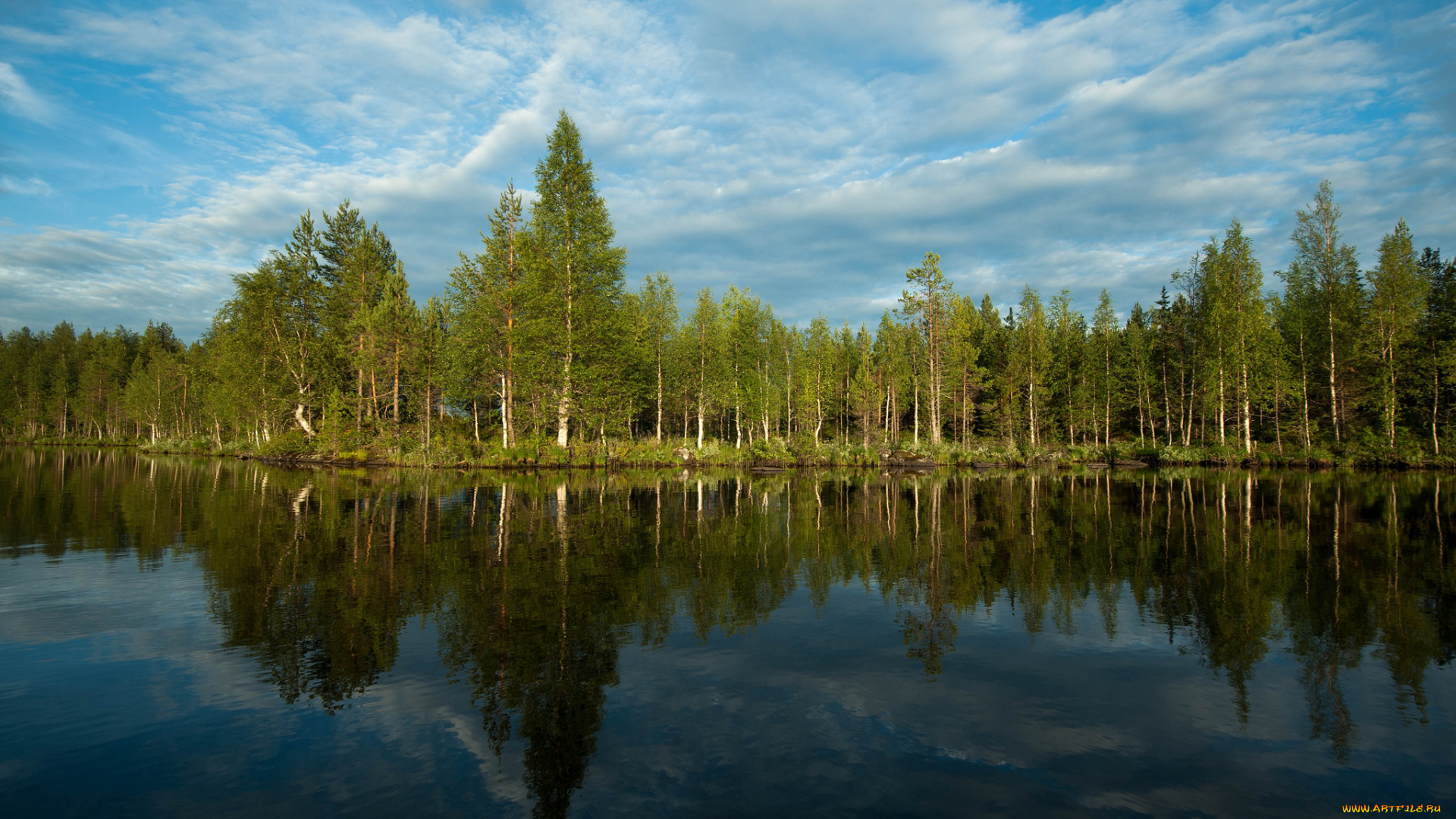 природа, реки, озера, лес, река