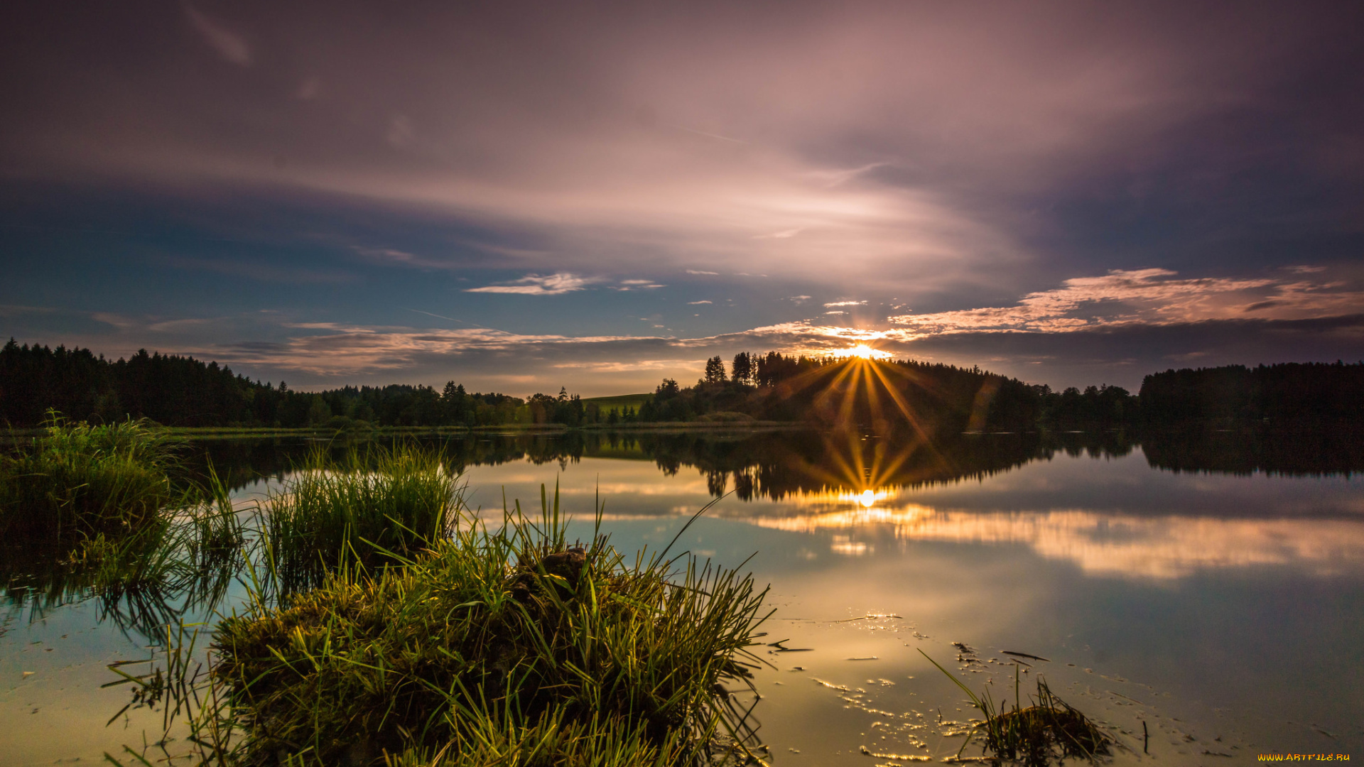 природа, реки, озера, лес, река